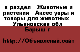  в раздел : Животные и растения » Аксесcуары и товары для животных . Ульяновская обл.,Барыш г.